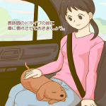 犬とドライブ